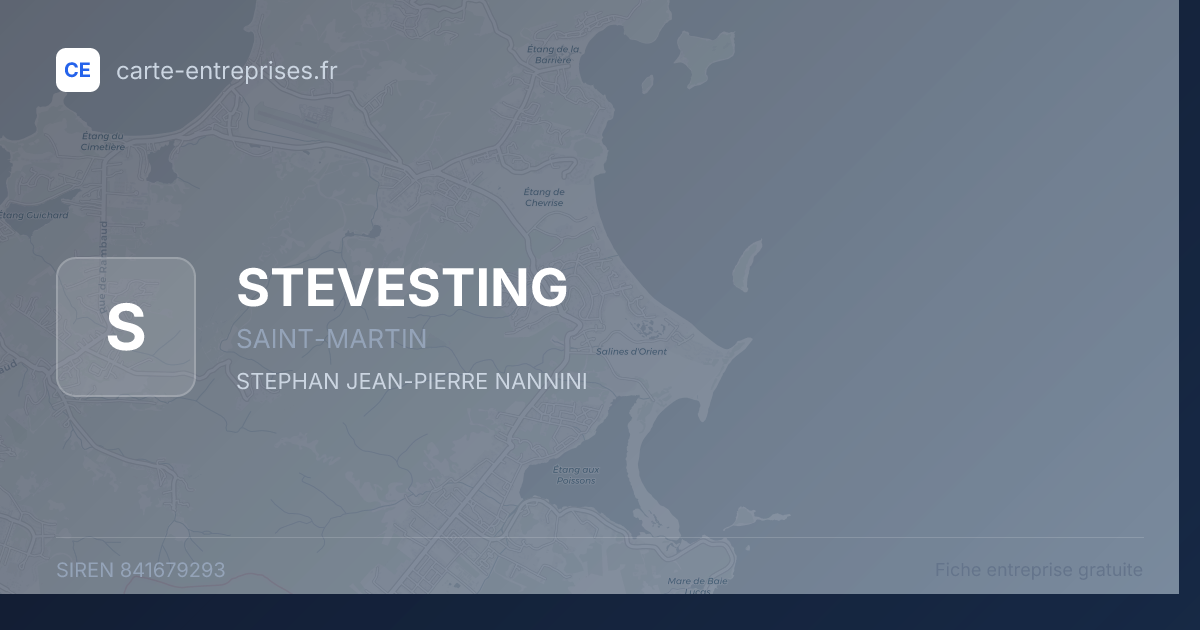 STEVESTING — 841679293 — fiche entreprise