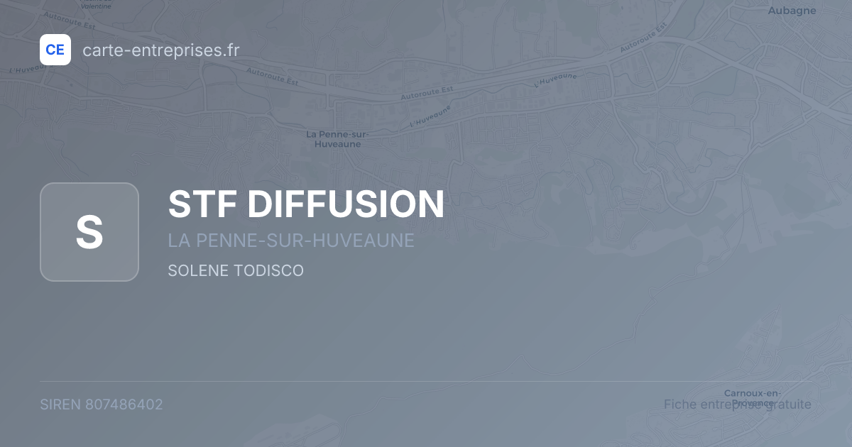 STF DIFFUSION — 807486402 — fiche entreprise