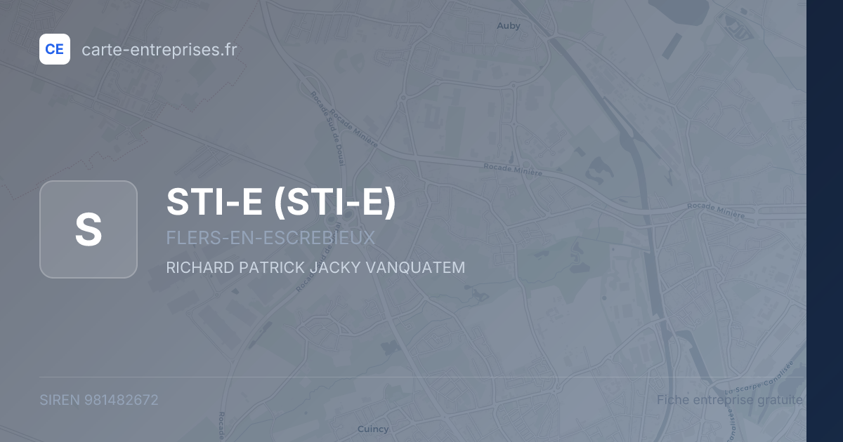 STI-E — 981482672 — fiche entreprise