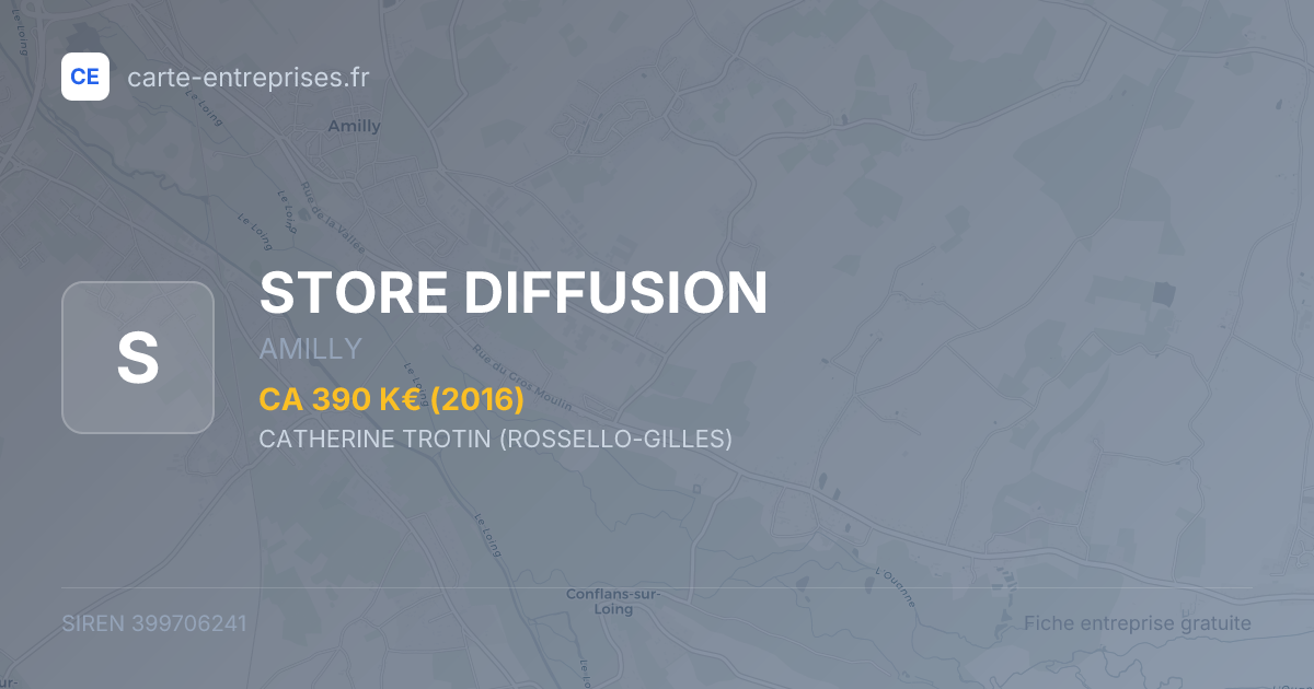 STORE DIFFUSION — 399706241 — fiche entreprise