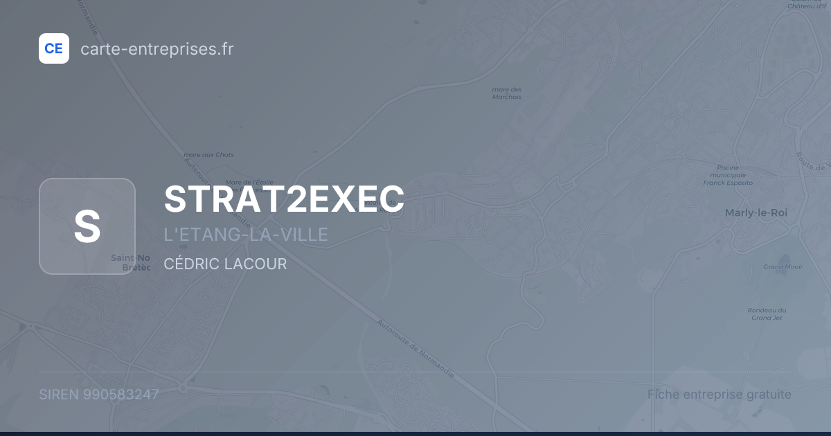 STRAT2EXEC — 990583247 — fiche entreprise