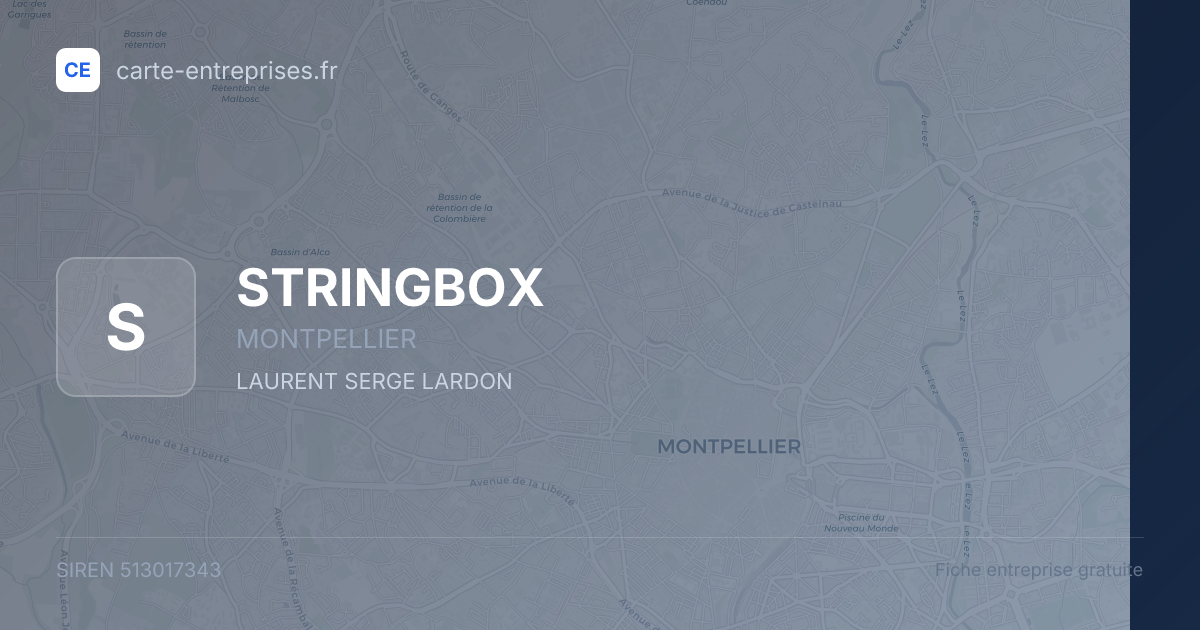 STRINGBOX — 513017343 — fiche entreprise