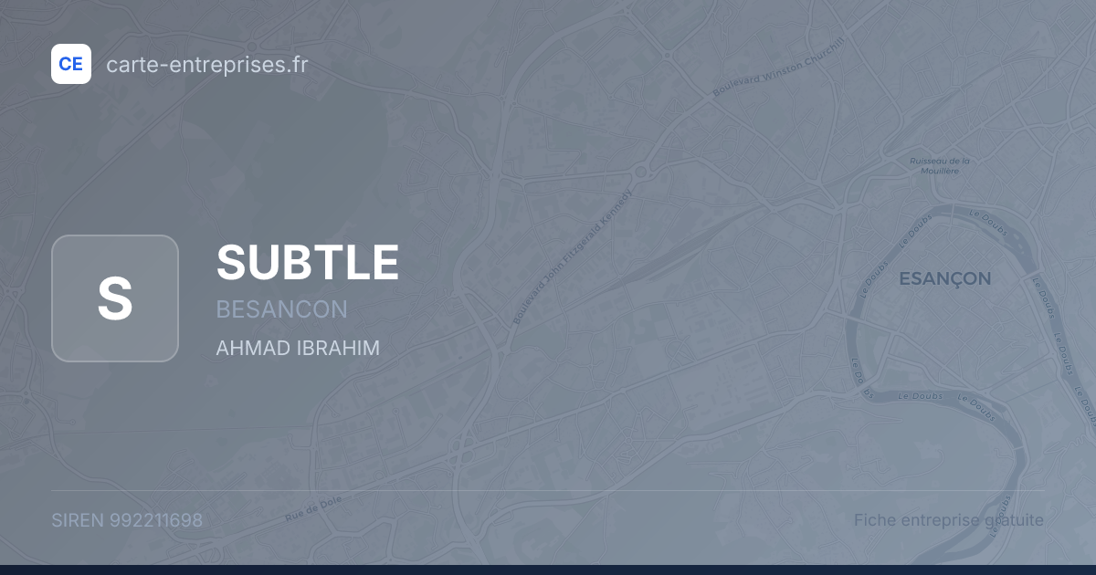 SUBTLE — 992211698 — fiche entreprise