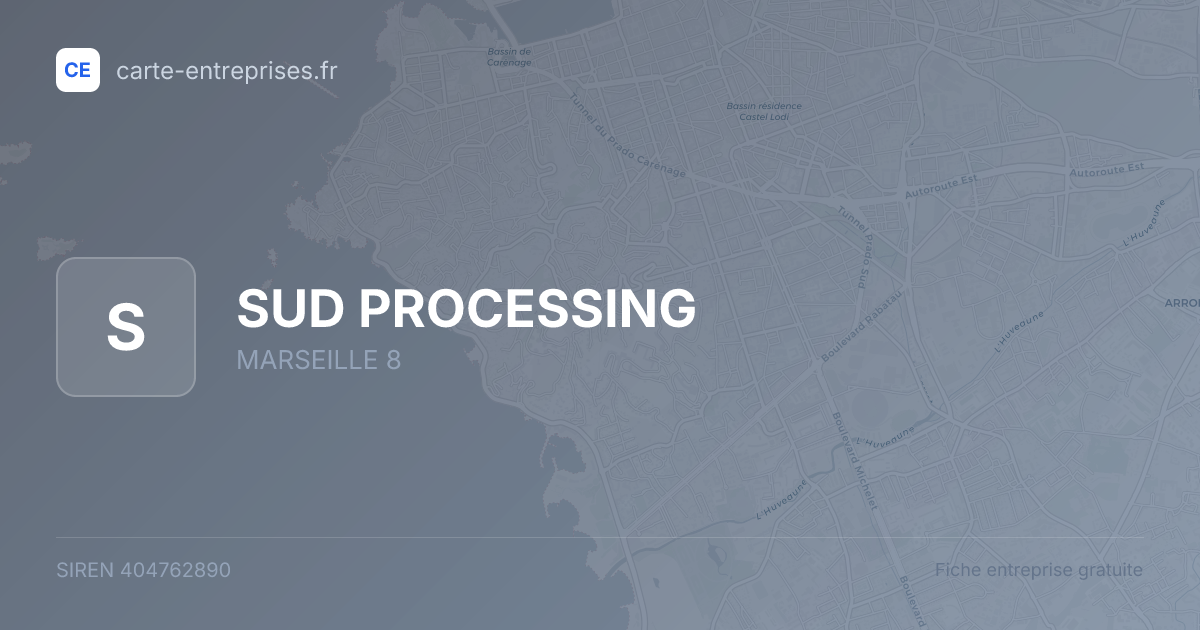 SUD PROCESSING — 404762890 — fiche entreprise