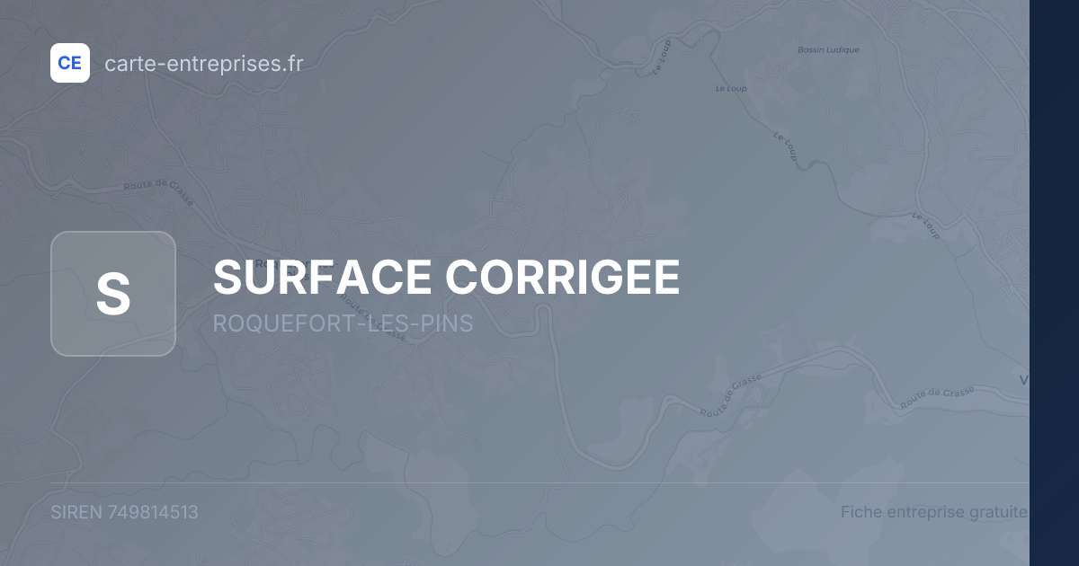 SURFACE CORRIGEE — 749814513 — fiche entreprise