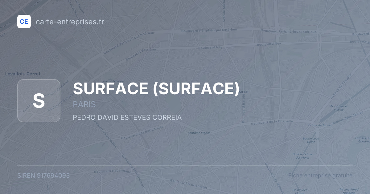 SURFACE — 917694093 — fiche entreprise
