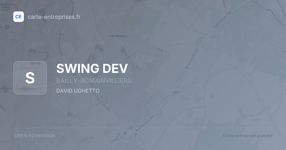 SWING DEV — 523693406 — fiche entreprise