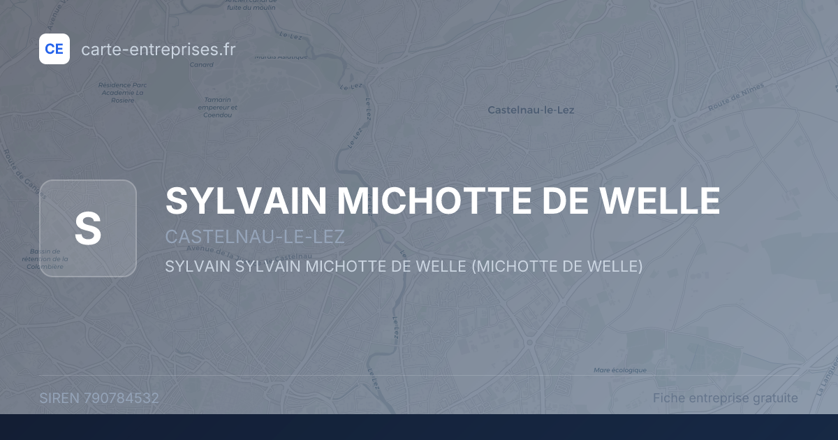 SYLVAIN MICHOTTE DE WELLE — 790784532 — fiche entreprise