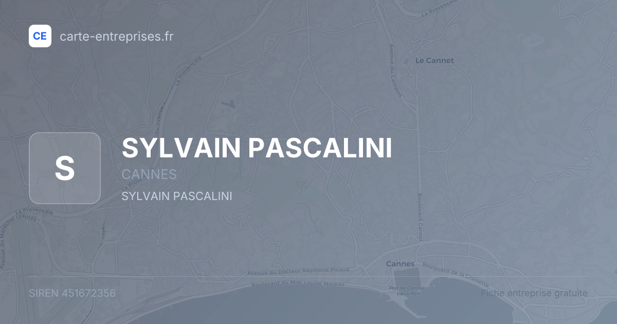 SYLVAIN PASCALINI — 451672356 — fiche entreprise