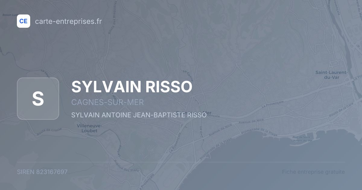 SYLVAIN RISSO — 823167697 — fiche entreprise