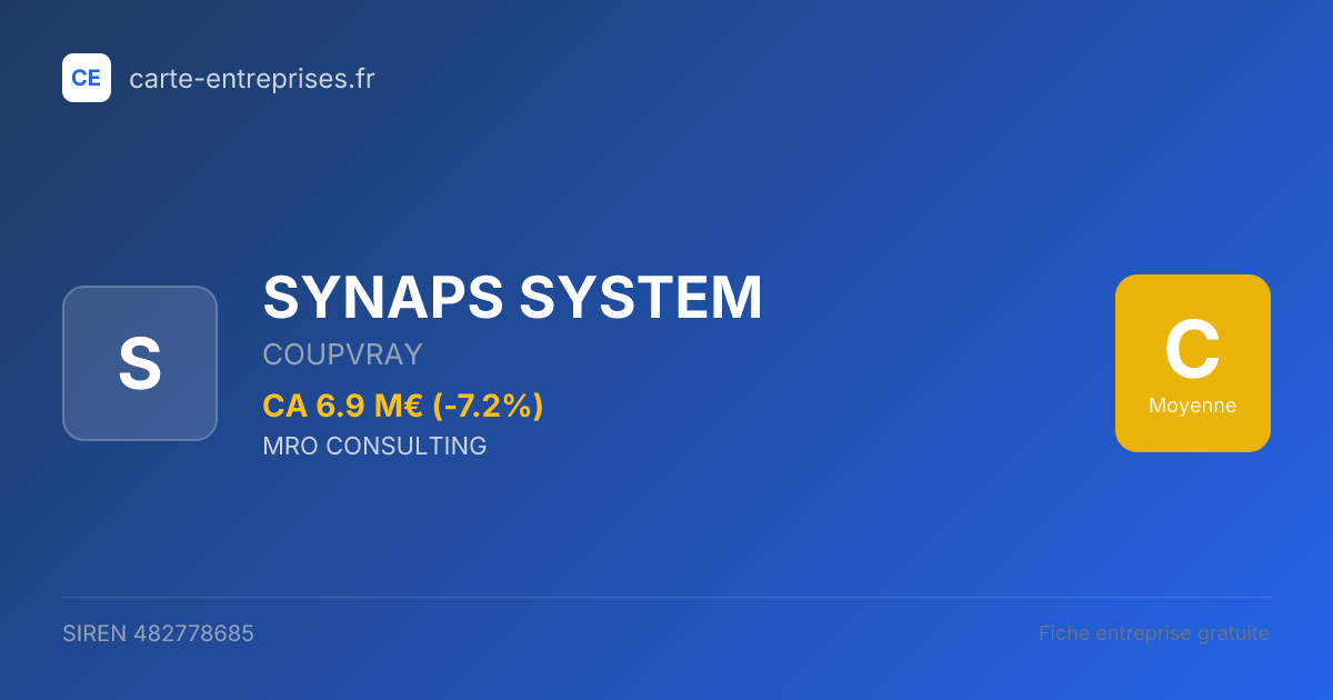 SYNAPS SYSTEM — 482778685 — fiche entreprise
