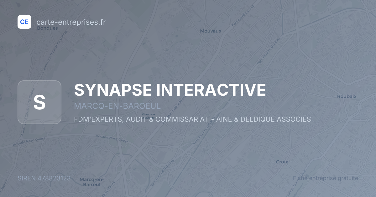 SYNAPSE INTERACTIVE — 478823123 — fiche entreprise