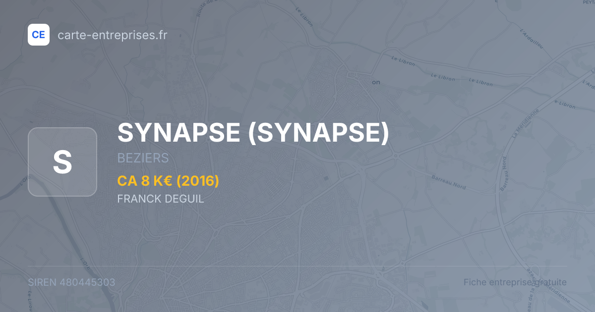 SYNAPSE — 480445303 — fiche entreprise