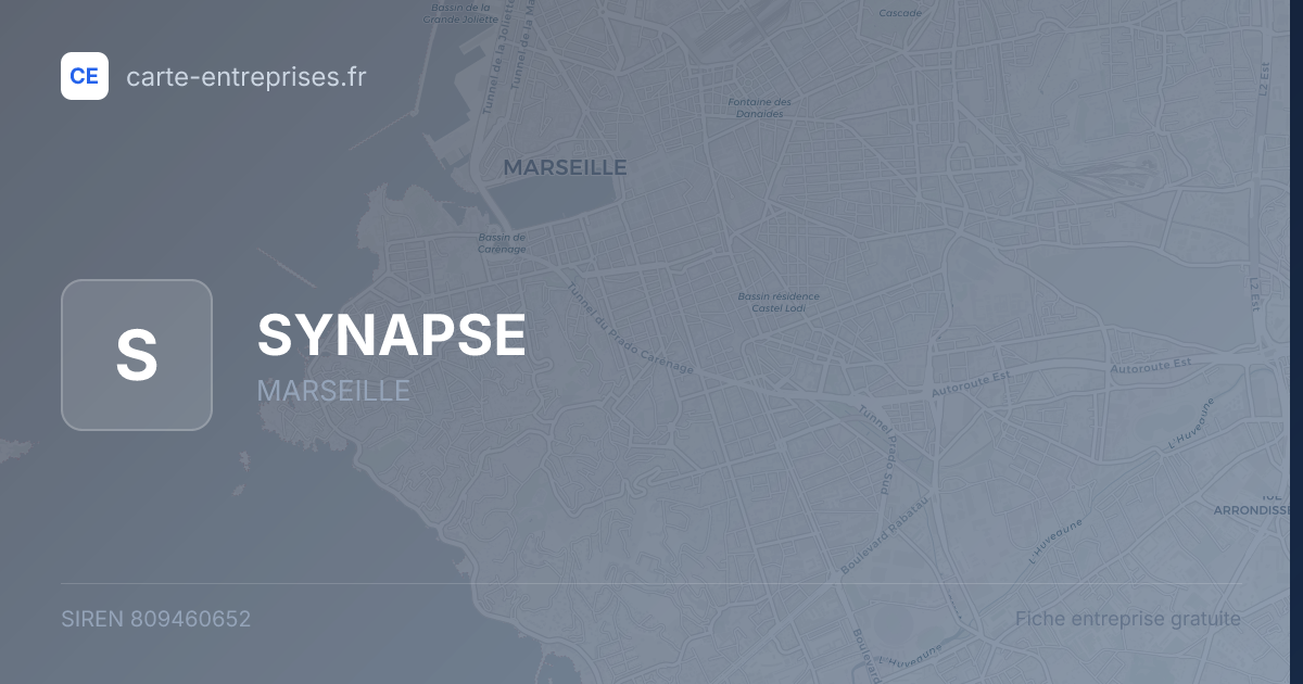 SYNAPSE — 809460652 — fiche entreprise