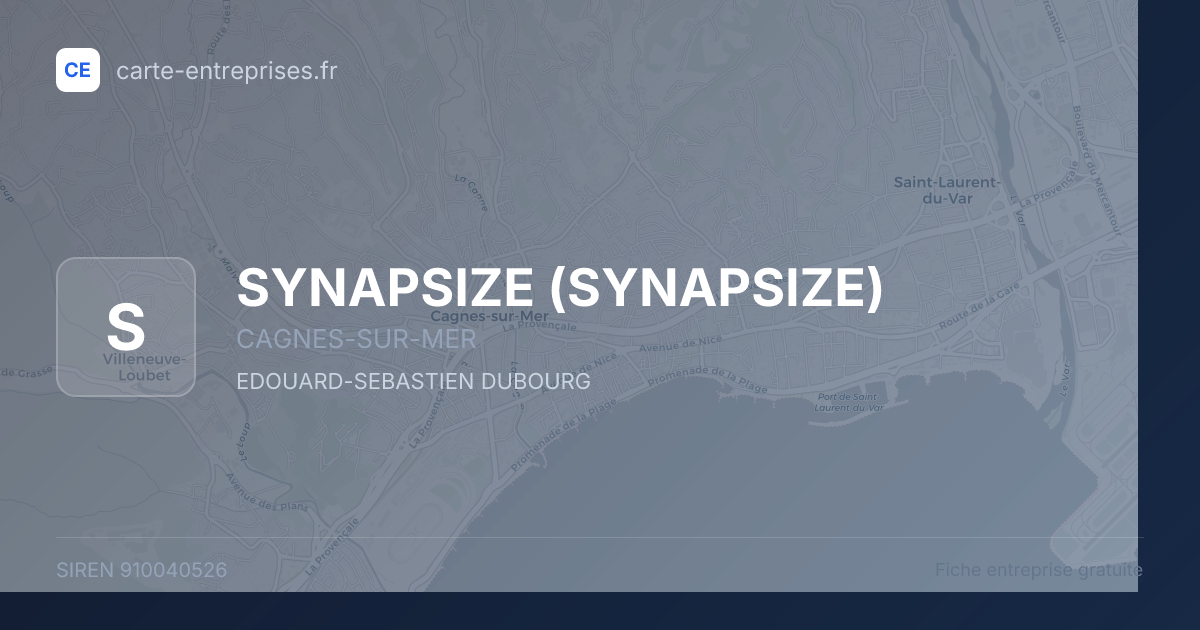 SYNAPSIZE — 910040526 — fiche entreprise