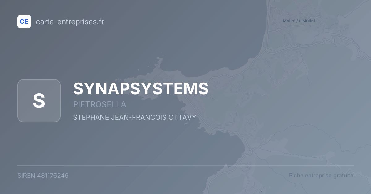 SYNAPSYSTEMS — 481176246 — fiche entreprise