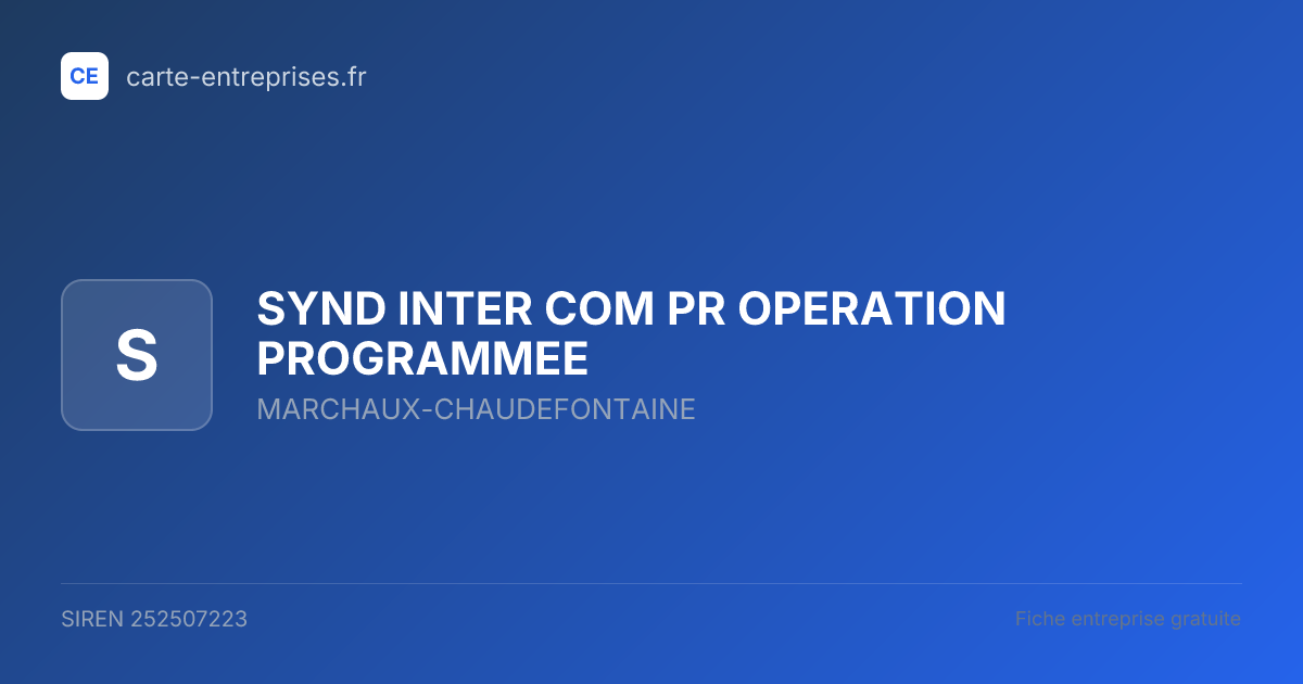 SYND INTER COM PR OPERATION PROGRAMMEE — 252507223 — fiche entreprise