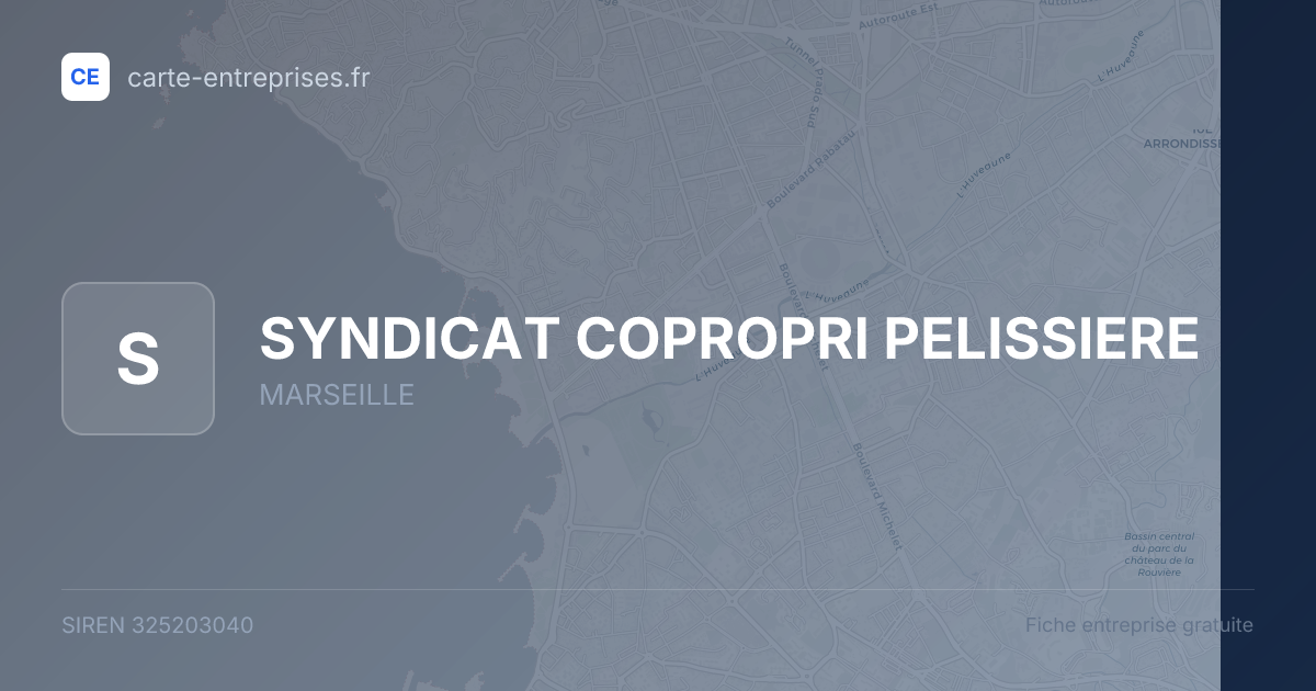 SYNDICAT COPROPRI PELISSIERE — 325203040 — fiche entreprise