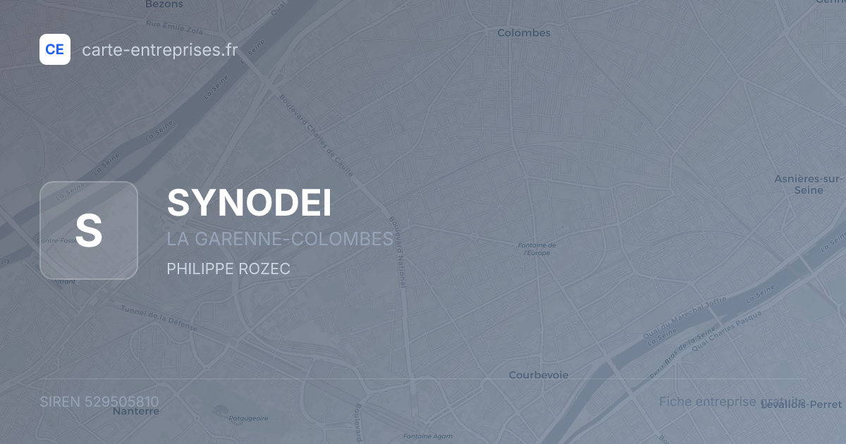SYNODEI — 529505810 — fiche entreprise
