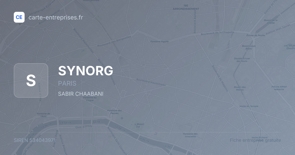 SYNORG — 534043971 — fiche entreprise