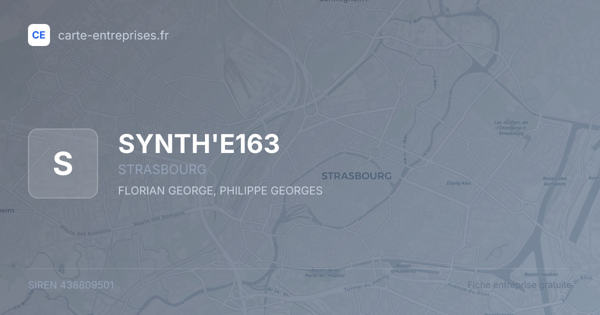SYNTH'E163 — 438809501 — fiche entreprise