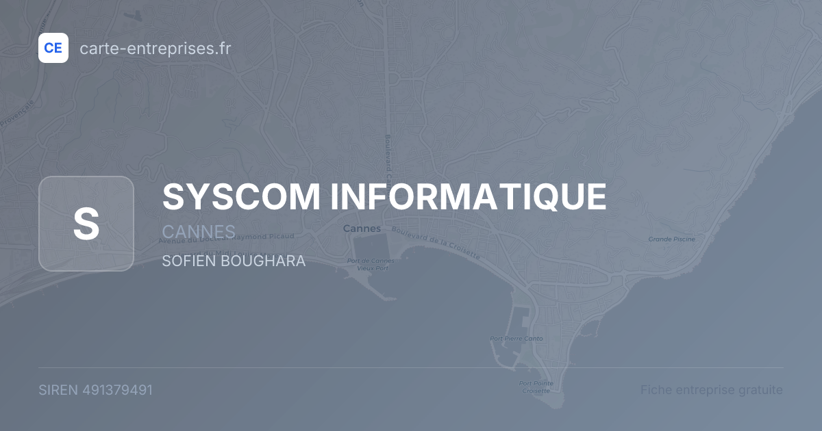 SYSCOM INFORMATIQUE — 491379491 — fiche entreprise