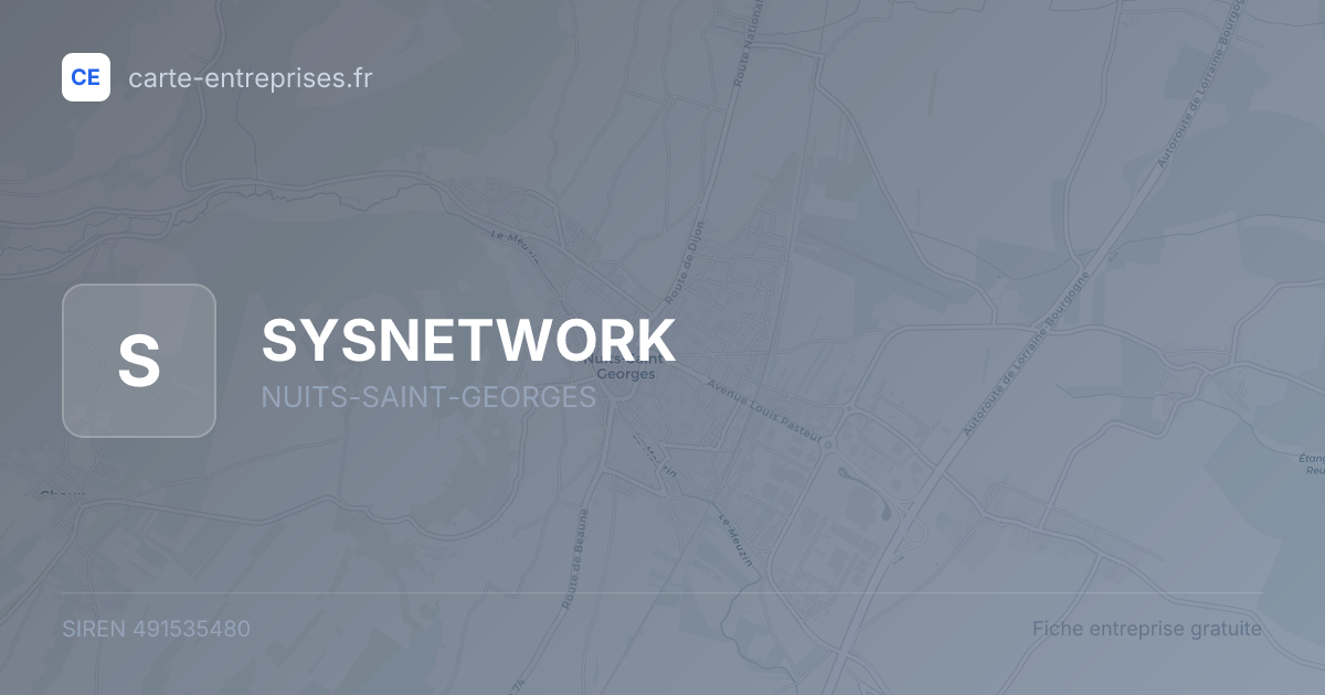 SYSNETWORK — 491535480 — fiche entreprise