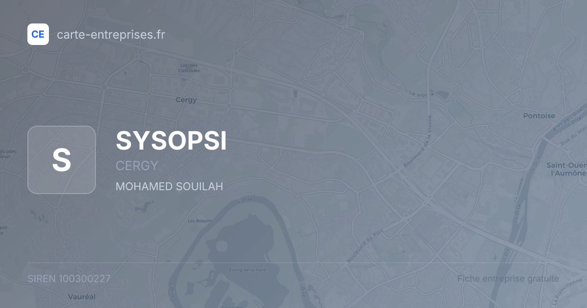 SYSOPSI — 100300227 — fiche entreprise