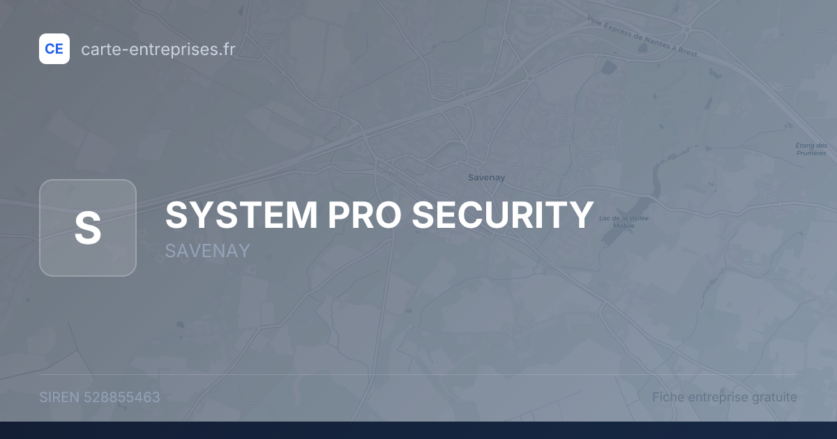 SYSTEM PRO SECURITY — 528855463 — fiche entreprise
