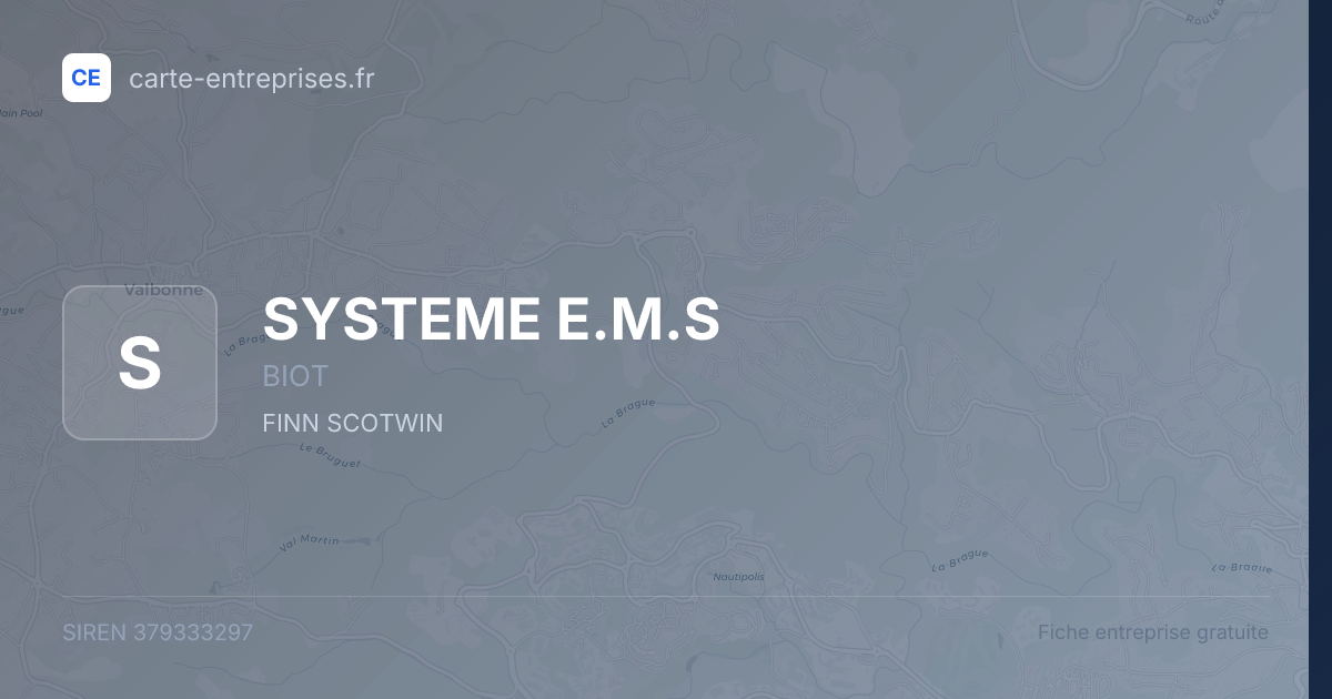 SYSTEME E.M.S — 379333297 — fiche entreprise
