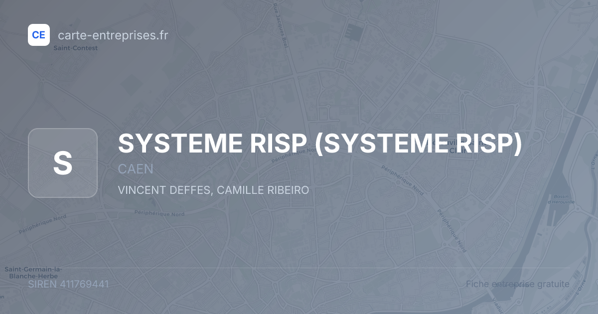 SYSTEME RISP — 411769441 — fiche entreprise