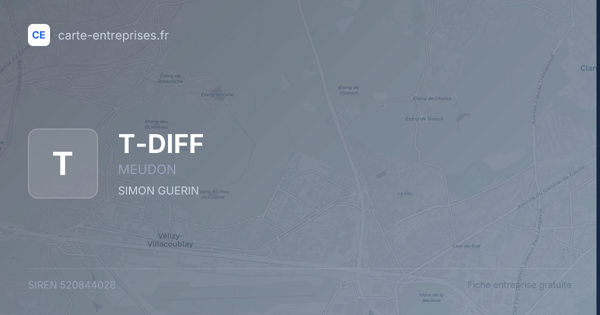 T-DIFF — 520844028 — fiche entreprise