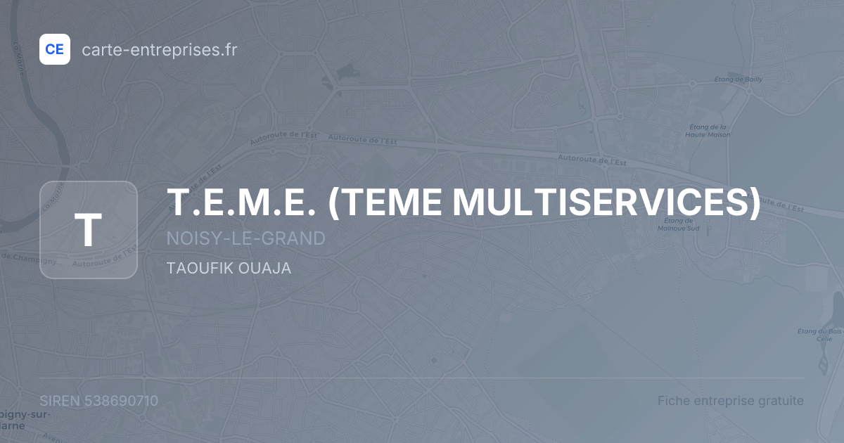T.E.M.E. (TEME MULTISERVICES) — 538690710 — fiche entreprise