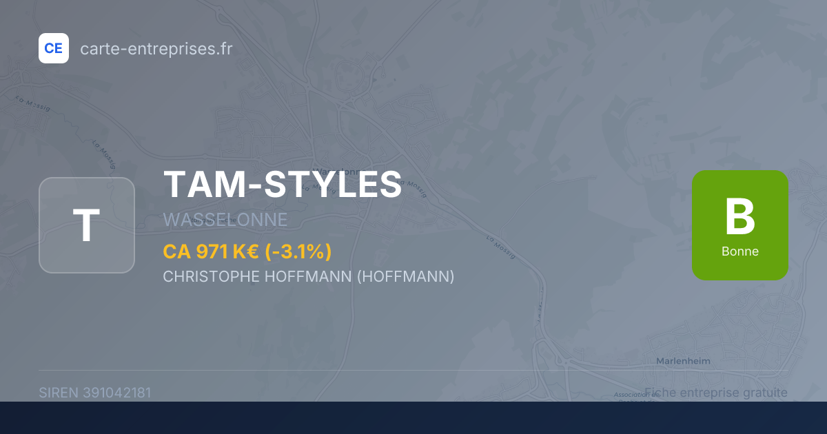 TAM-STYLES — 391042181 — fiche entreprise