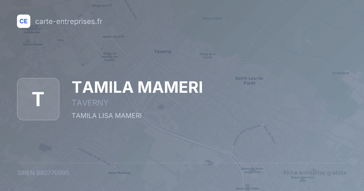 TAMILA MAMERI — 880770995 — fiche entreprise