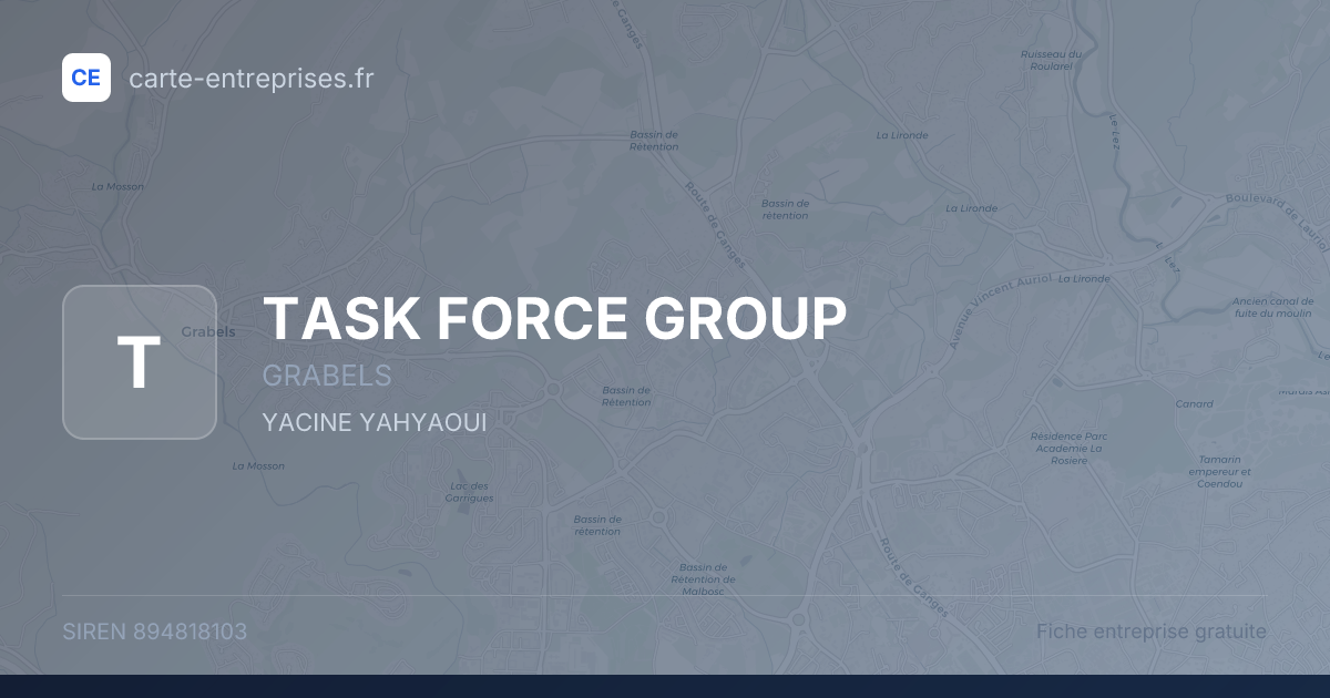 TASK FORCE GROUP — 894818103 — fiche entreprise
