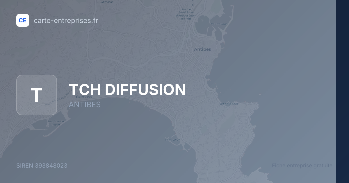 TCH DIFFUSION — 393848023 — fiche entreprise