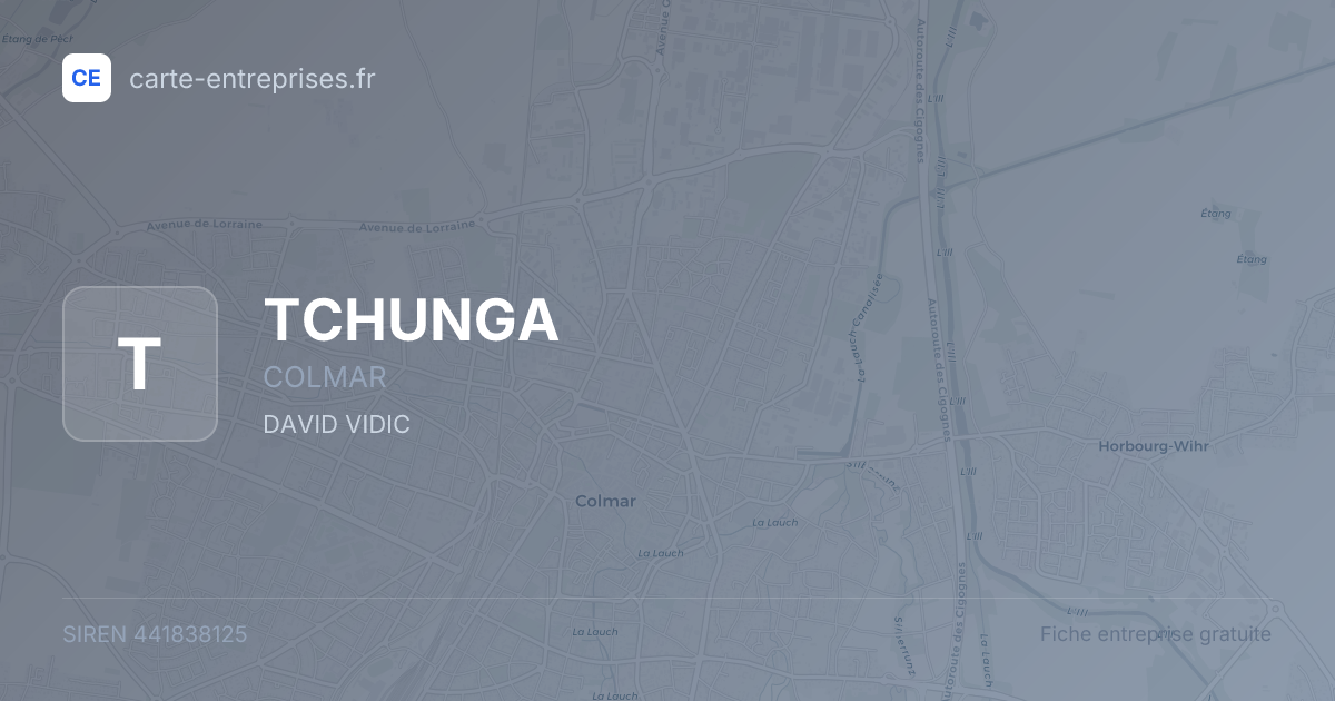 TCHUNGA — 441838125 — fiche entreprise