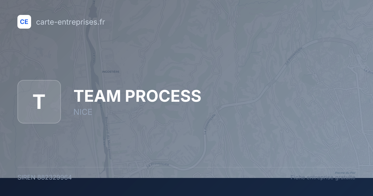 TEAM PROCESS — 882329964 — fiche entreprise