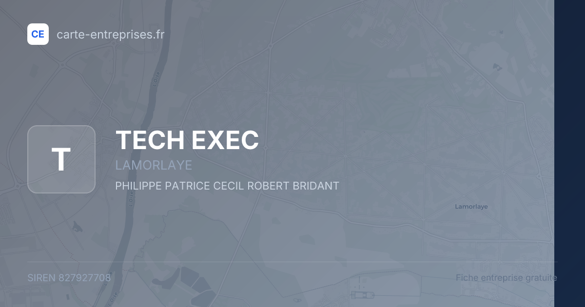 TECH EXEC — 827927708 — fiche entreprise