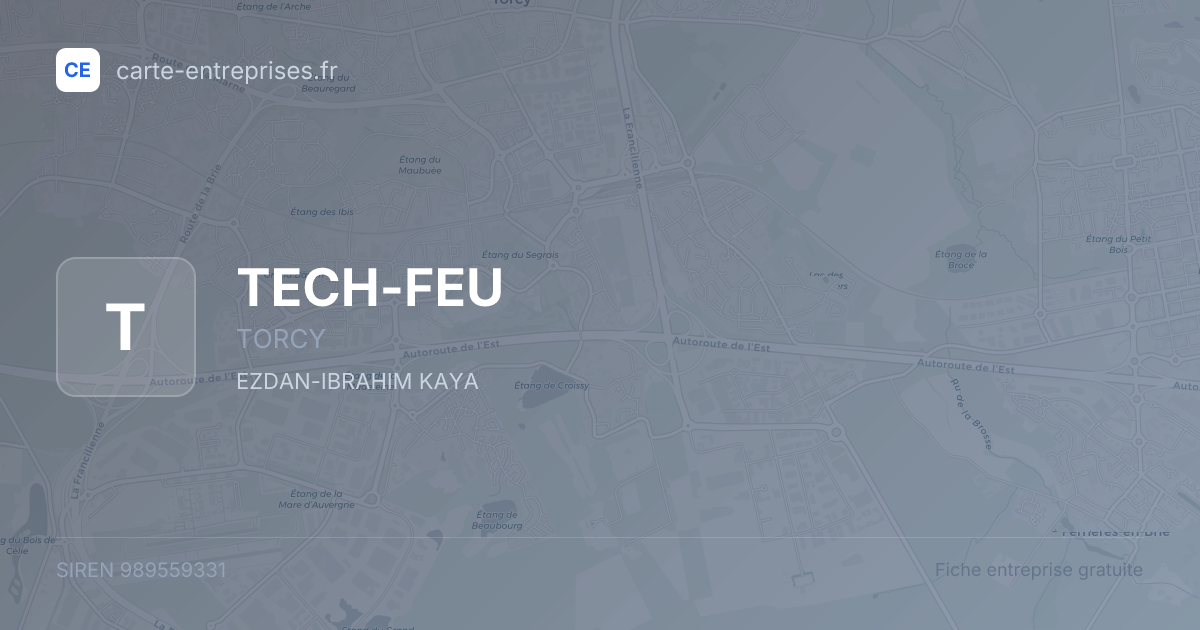 TECH-FEU — 989559331 — fiche entreprise