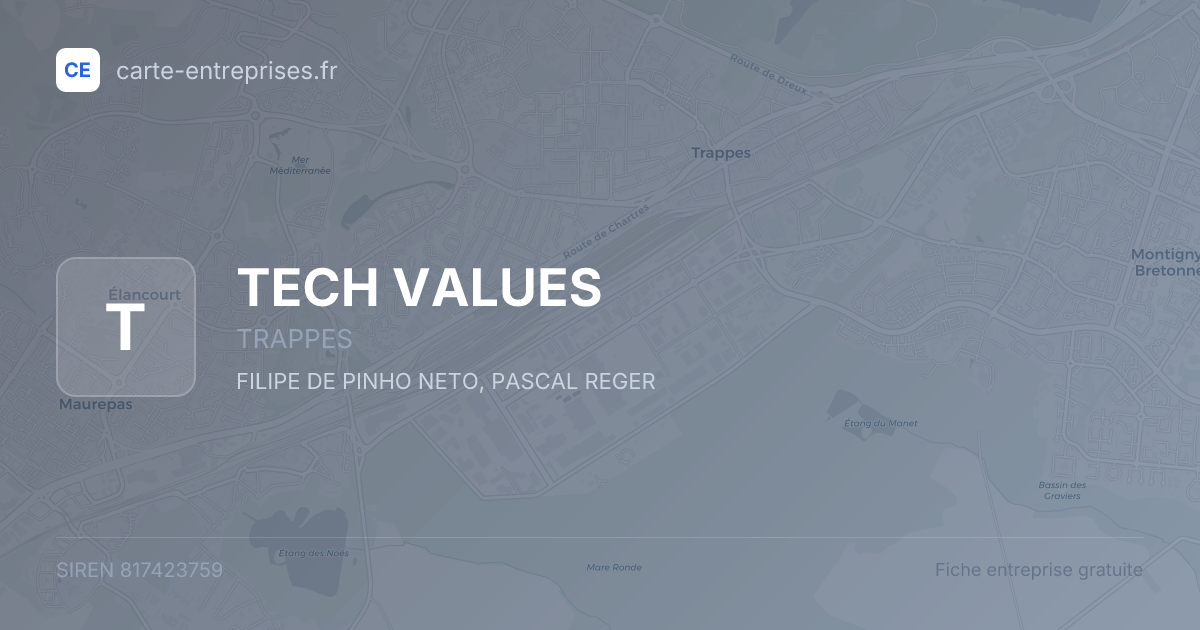 TECH VALUES — 817423759 — fiche entreprise