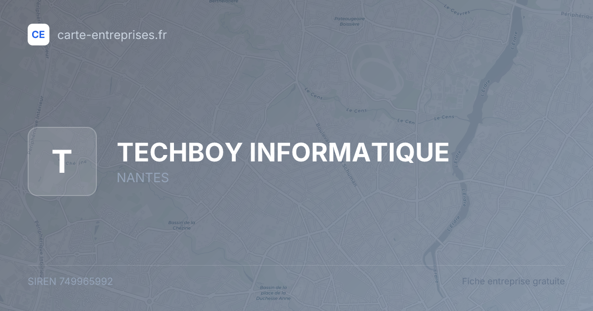 TECHBOY INFORMATIQUE — 749965992 — fiche entreprise