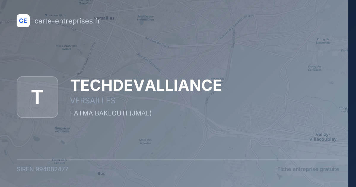 TECHDEVALLIANCE — 994082477 — fiche entreprise
