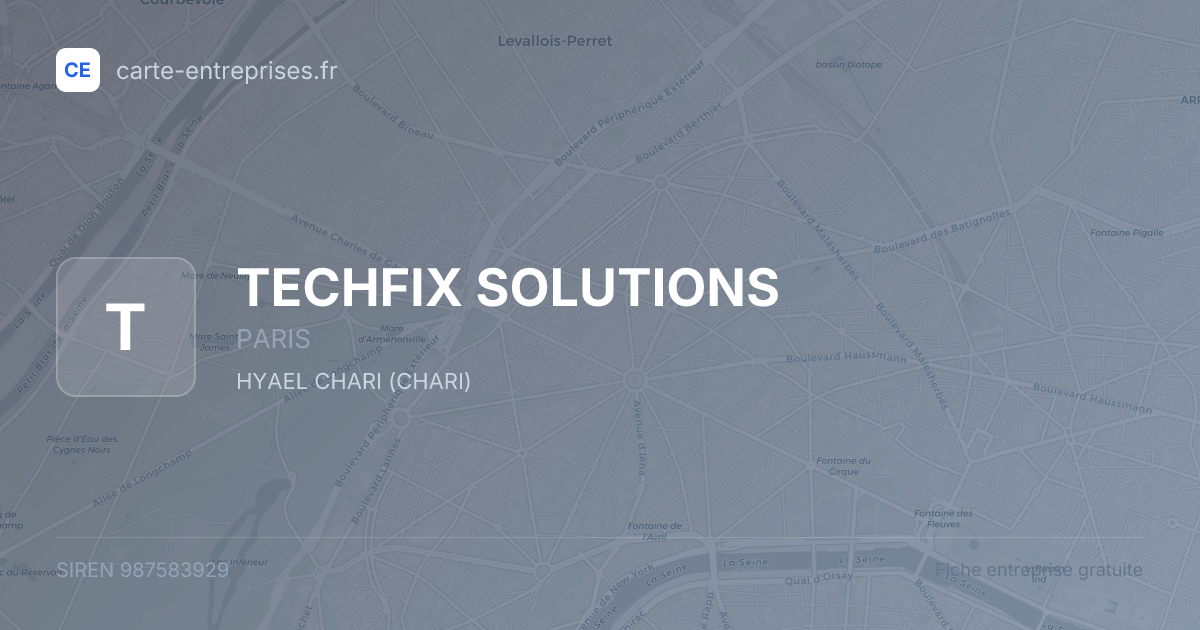 TECHFIX SOLUTIONS — 987583929 — fiche entreprise