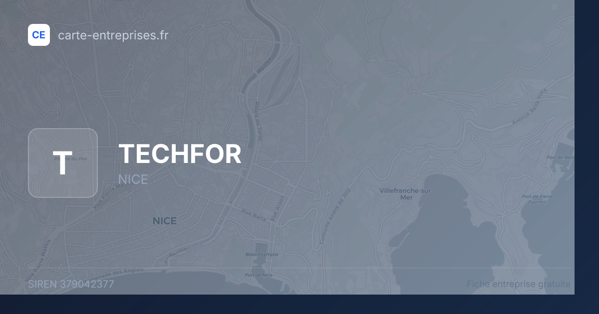 TECHFOR — 379042377 — fiche entreprise