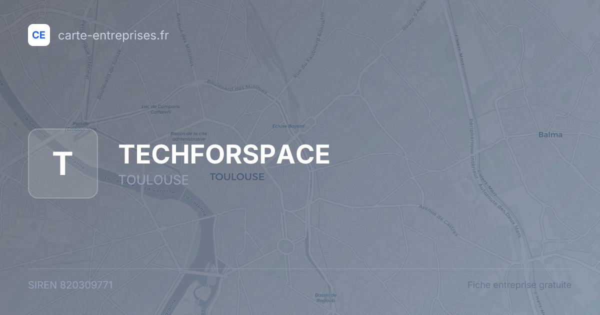 TECHFORSPACE — 820309771 — fiche entreprise