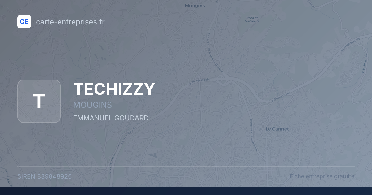 TECHIZZY — 839848926 — fiche entreprise