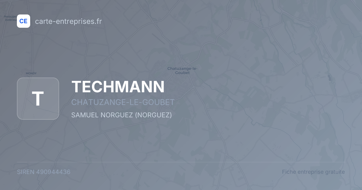 TECHMANN — 490944436 — fiche entreprise