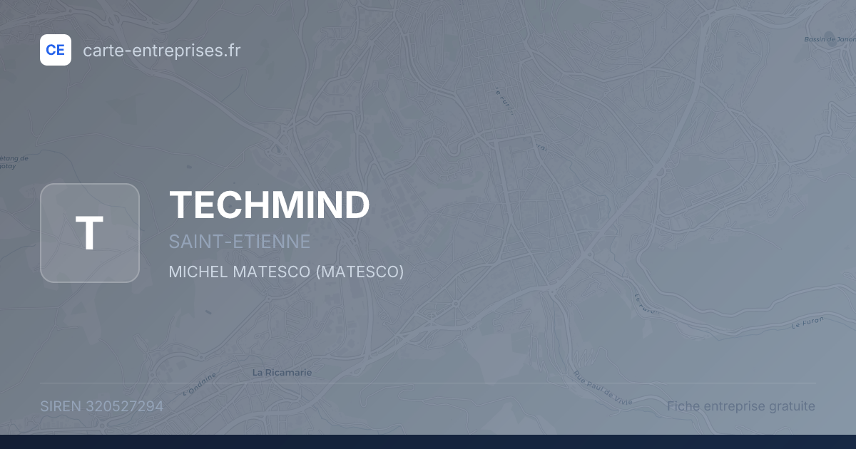 TECHMIND — 320527294 — fiche entreprise
